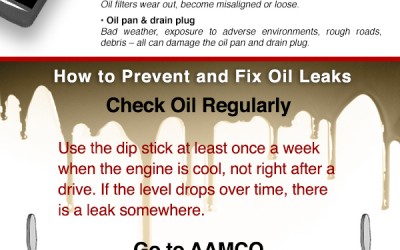 How Do Oil Leaks Happen? – Infographic