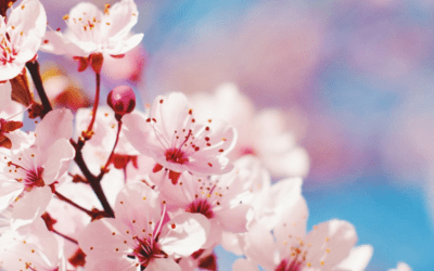 5 Things You Can Do For Your Car This Spring